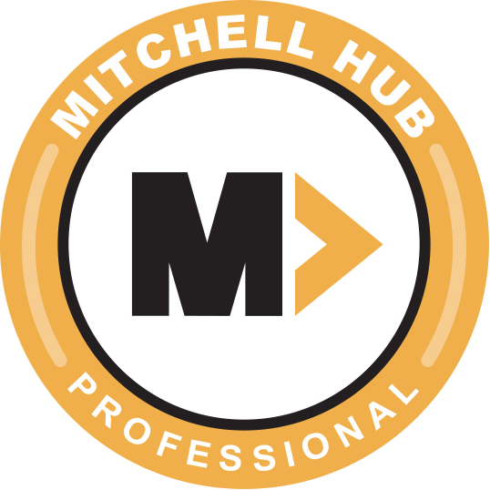 Professional Skill badge
